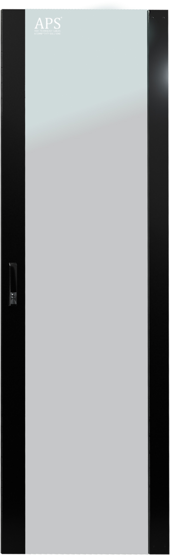 APS RA19 lasiovi 600x1900mm 42U