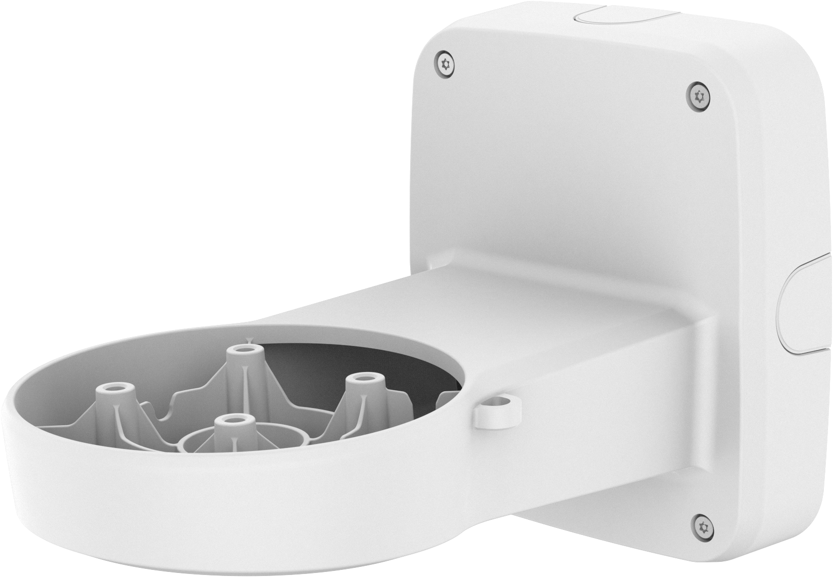 Hanwha seinäjalka, valk.